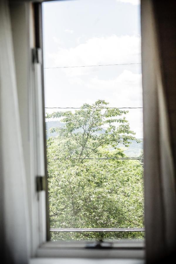 Fairytale Loft Suite 1 Bed, 1 Bath Luxury Apartment In Downtown Belmont Charlottesville Buitenkant foto